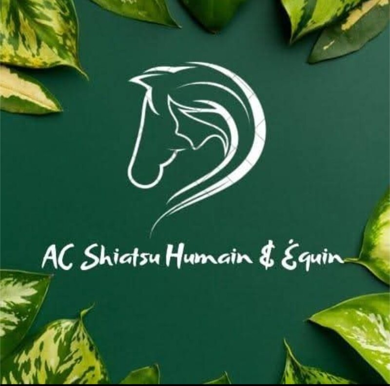CARIER Amélie — Shiatsu humain et équin
