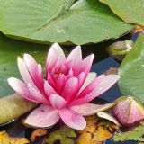 Les Z’instants Zen de Kty — Massage bien être