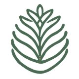 Pineabayah — Praticienne en soins énergétiques & chamaniques